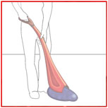 Dymopic