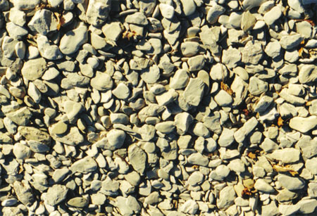 rocks