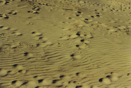 sand