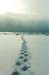 tracks