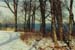 trees3